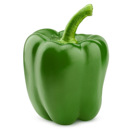POIVRON VERT 5X1KG